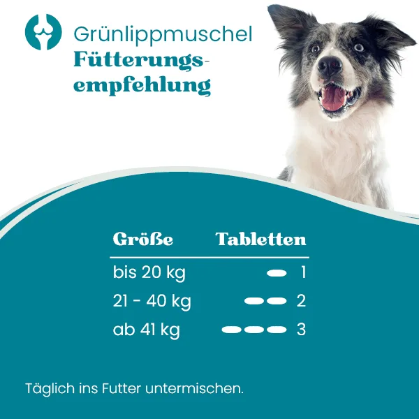 Grünlippmuschel für die Gelenke – Bild 2