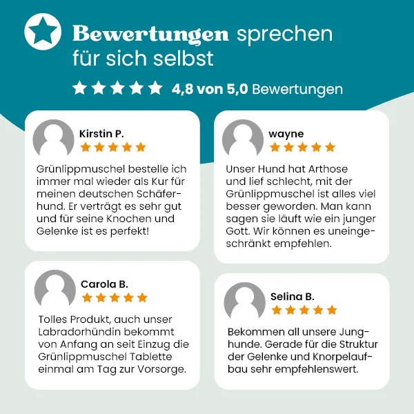 Grünlippmuschel für die Gelenke – Bild 3