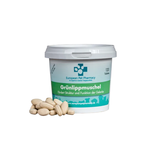 Grünlippmuschel für die Gelenke