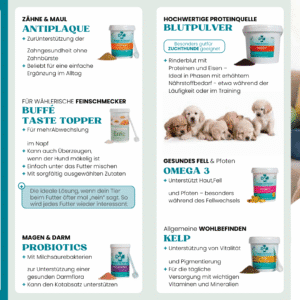 Partner-Flyer 250 Stück mit deinem Gutscheincode & Bild oder Logo