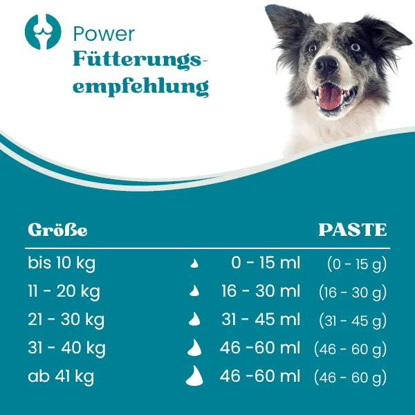 POWER - Energiepaste für Sport- und Arbeitshunde  – Bild 2