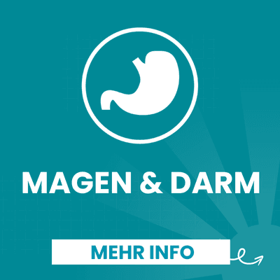 Magen