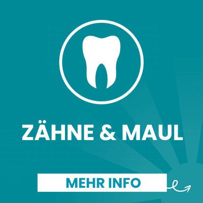 Zähne
